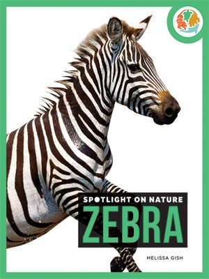 cover image of Zebra